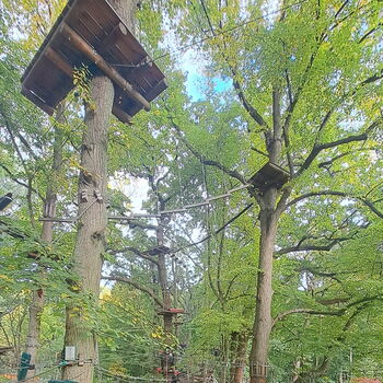 Ausflug in den Kletterpark Travemünde