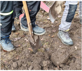 Garten-AG startet das Projekt "Vom Korn zum Brot"